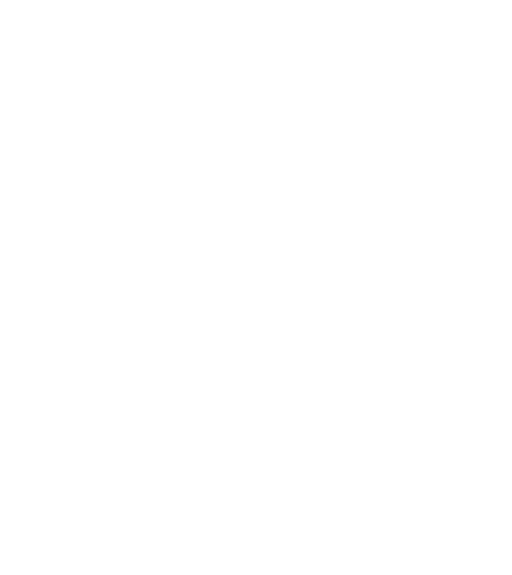 Bulls Logo